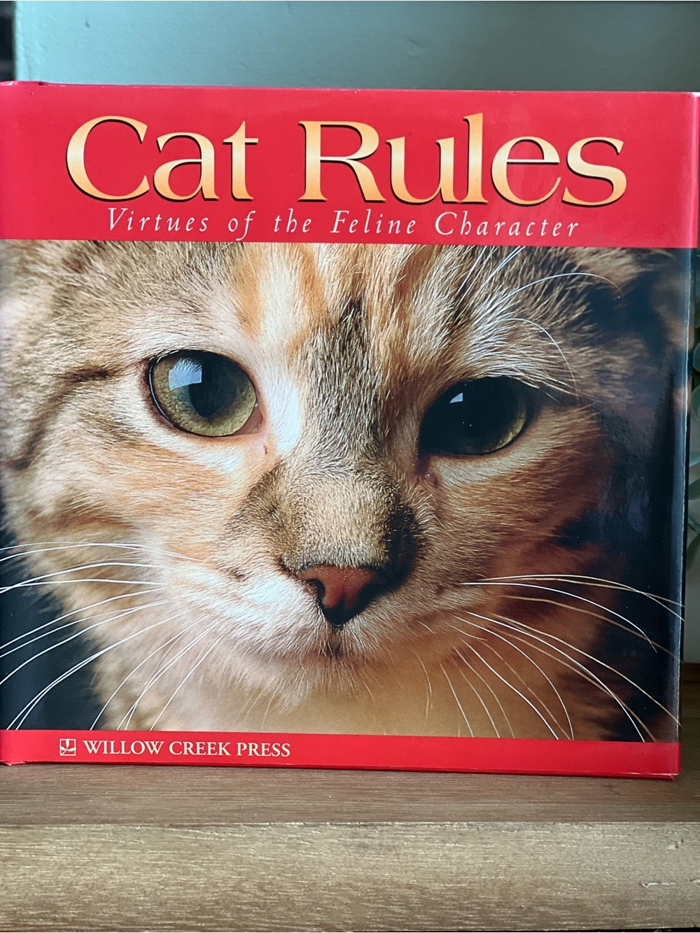 "Cat Rules" Book